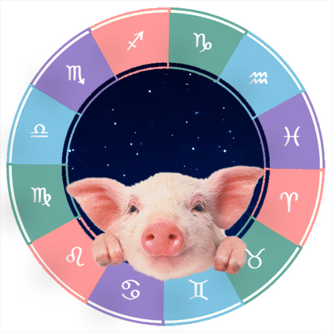 зодиакальный гороскоп на 2019 год