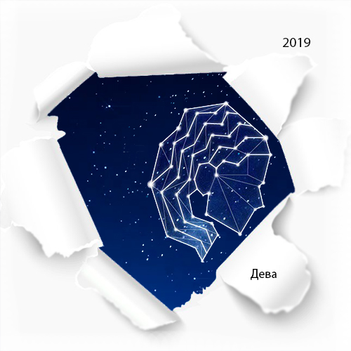 гороскоп дева на 2019 год