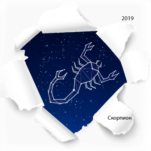 гороскоп скорпион на 2019 год