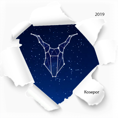 гороскоп козерога на 2019 год